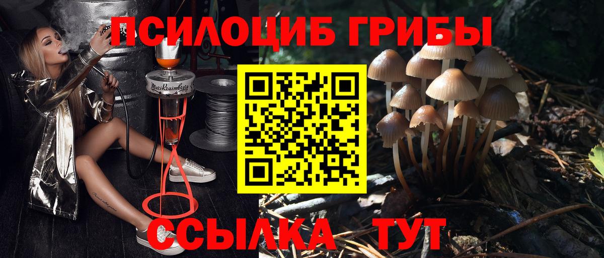 Галлюциногенные грибы GOLDEN TEACHER Апатиты