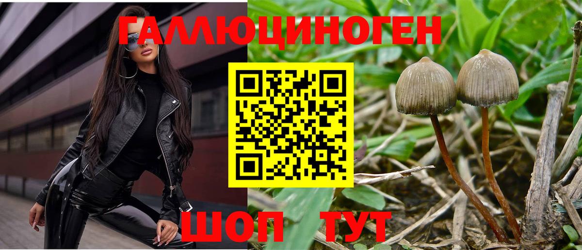 Галлюциногенные грибы прущие грибы  Вход с VPN  Галлюциногенные грибы MAGIC MUSHROOMS  Апатиты 