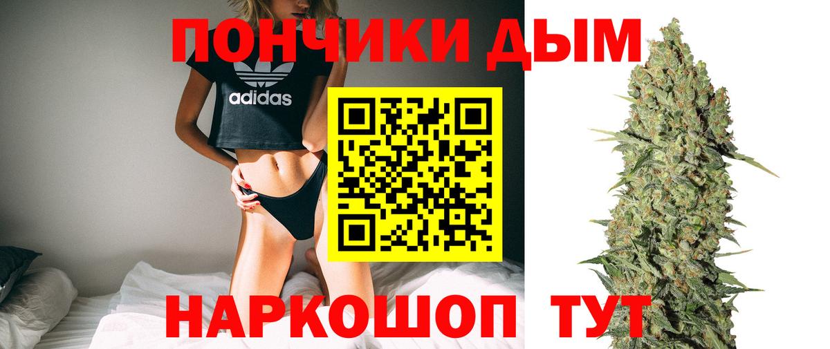 Бошки Шишки план Апатиты